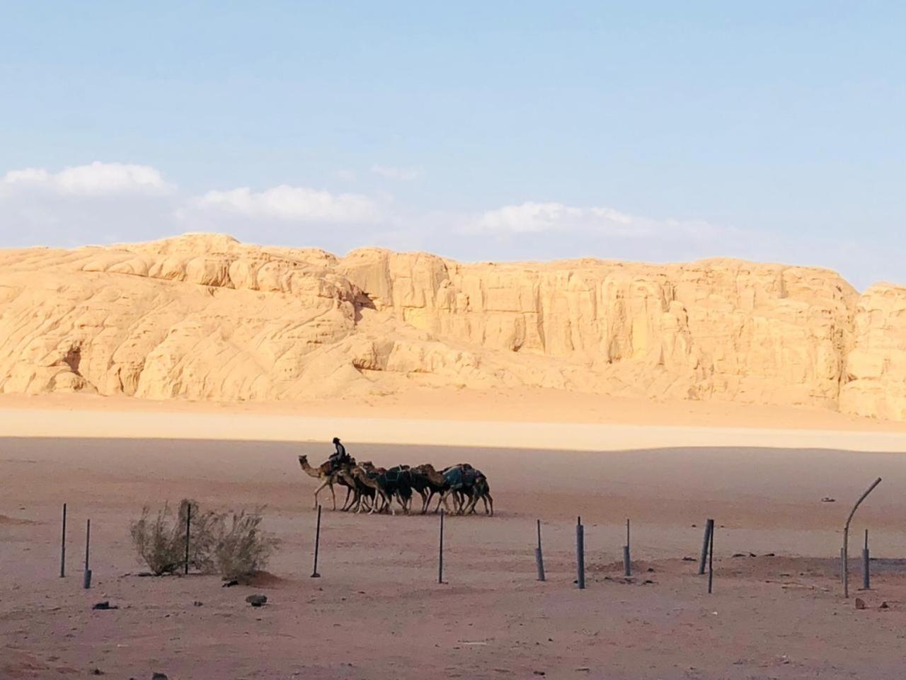 Landscape Rum Camp Hotell Wadi Rum Exteriör bild